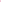 DREAMLAND MALIBU SUNDAY SESSIONS VINTAGE LOW RISE TRUCKER - NEON PINK LEAF
